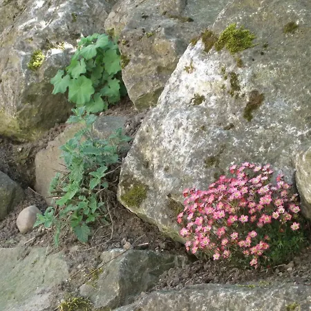 Gerberlaube Appartement *