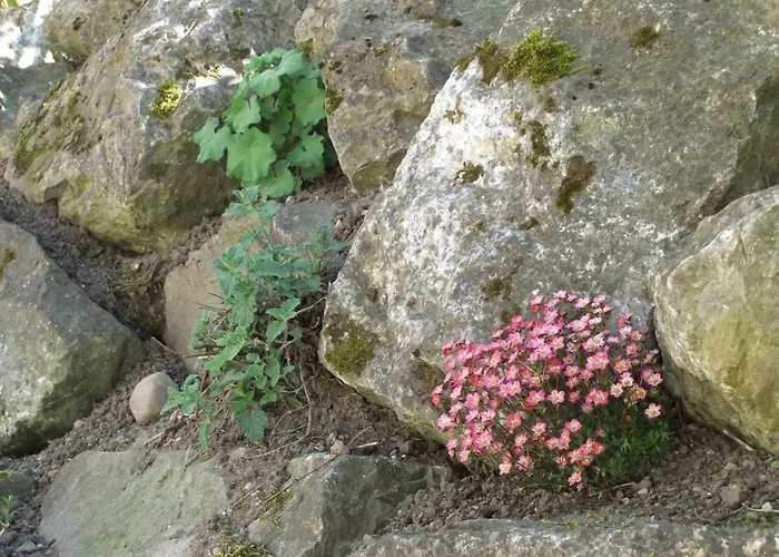 Gerberlaube דירה *